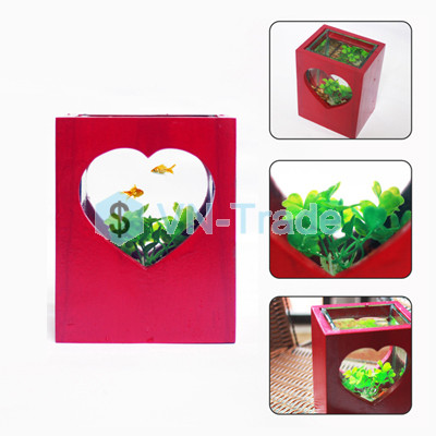Bể Cá Mini Hình Trái Tim