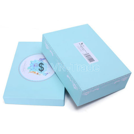 Hộp Hình Chữ Nhật Màu Xanh Biển