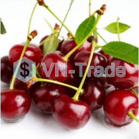 Vị Cherry