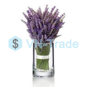 Vị Hoa Lavender