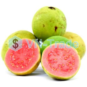 Vị ổi