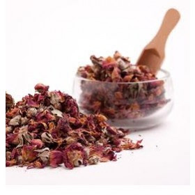 Cánh Hoa Hồng (Rose Petals)