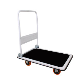 Xe Đẩy Hàng Sàn Thép Tải Trọng 100Kg (48cm x 72cm)