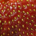 Hạt Dâu Tây (Strawberry seeds)