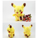 Thú Nhồi Bông Ghi Âm Pikachu GAC132