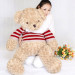 Thú Nhồi Bông Gấu Teddy Áo Len