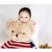Thú Nhồi Bông Gấu Teddy Áo Len