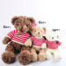 Thú Nhồi Bông Gấu Teddy Áo Len