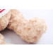 Thú Nhồi Bông Gấu Teddy Áo Len