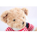 Thú Nhồi Bông Gấu Teddy Áo Len