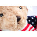 Thú Nhồi Bông Gấu Teddy Áo Len